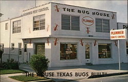 "The House Texas Bugs Built" Postcard