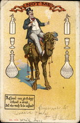 A Camel Can Go 8 Days Without A Drink Postcard