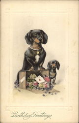 Two Dogs With Flower Box Postcard