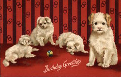 Birthday Greetings - White Dogs Postcard Postcard