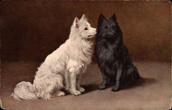 A White Dog and a Black Dog Postcard