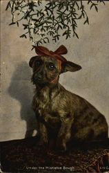 Under the Mistletoe Bough Dogs Postcard Postcard