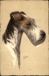 Wire-Haired Fox Terrier Dogs Postcard Postcard