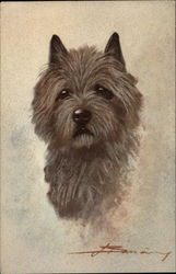 Cairn Terrier Dogs Postcard Postcard