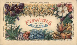 Flowers of the Allies Postcard