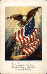 Eagle and Flag Postcard