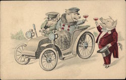 Pigs Driving, Toasting Postcard