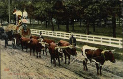 Log Hauling Near Ft. Smith, Arkansas Logging Postcard Postcard