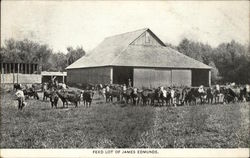 Feed Lot of James Edmunds Postcard