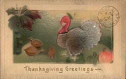 Thanksgiving Greetings Turkeys Postcard Postcard