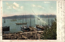 View of Harbor, Showing Lumber Fleet Tacoma, WA Postcard Postcard