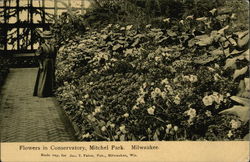 Flowers in Conservatory, Mitchel Park Milwaukee, WI Postcard Postcard