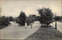 View in Washinton Park Milwaukee, WI Postcard Postcard