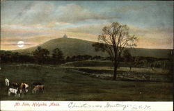 Mount Tom Holyoke, MA Postcard Postcard