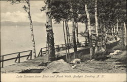 Lake Sunapee from Birch and Plank Walk Postcard