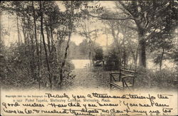 Wellesley College - Point Tupelo Massachusetts Postcard Postcard