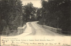 Central Avenue, Entrance to Campus, Cornell University Postcard