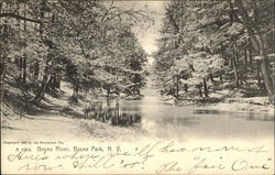 Bronx River, Bronx Park Postcard