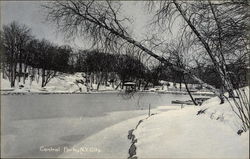 Winter Scene, Central Park New York, NY Postcard Postcard