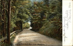 Road to Pittsfield, Mass. in the Berkshires Postcard