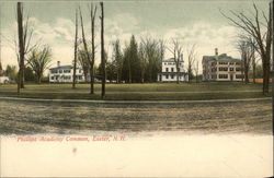 Phillips Academy Common Postcard