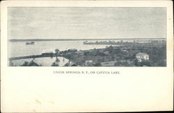 Cayuga Lake Union Springs, NY Postcard Postcard