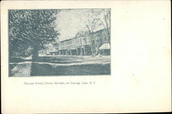 Cayuga Street Union Springs, NY Postcard Postcard