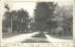 View of Town Street Postcard