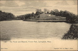 Forest Park - The Pond and Beyond Springfield, MA Postcard Postcard