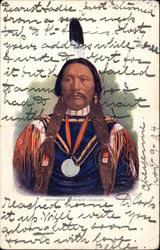 Chief Buckskin Charley Native Americana Postcard Postcard