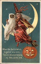 When the Owl & Witch Together are Seen, There's Mischief Brewing on Halloween Postcard Postcard