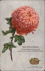 Chrysanthemum Postcard