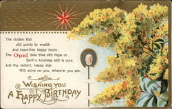 Wishing You a Happy Birthday Postcard