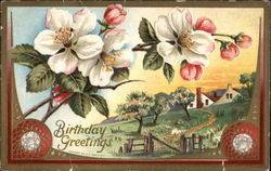 Birthday Greetings Postcard