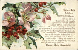 December Birth Month with Holly Months Postcard Postcard