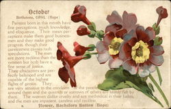 October Astrology & Zodiac Postcard Postcard