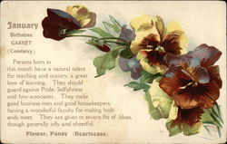 January Birth Month with Pansies Months Postcard Postcard