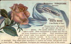 December Birth Month with White Rose Months Postcard Postcard