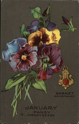 January Pansy Hearts East, Garnet, Constancy Postcard