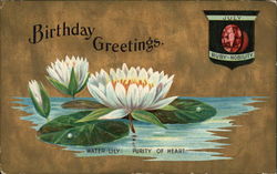 Birthday Greetings Postcard Postcard