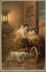 Three Kittens Playing in Hay Postcard