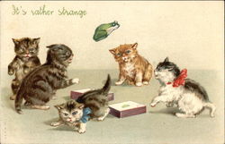 Kittens Playing with a Toy Frog Postcard