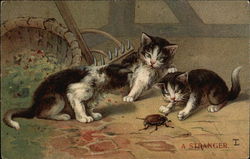 Kittens Playing with a Beetle Postcard