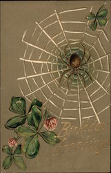 Spider on Web with Clover Postcard