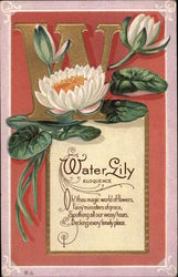 Water Lily, Eloquence Flowers Postcard Postcard