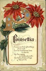 Poinsettia Postcard