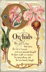 Orchids Flowers Postcard Postcard