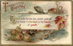 Thanksgiving Greetings with Turkey & Harvest Postcard