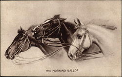 The Morning Gallop Postcard