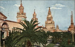 Avenue of Palms 1915 Panama-Pacific Exposition Postcard Postcard